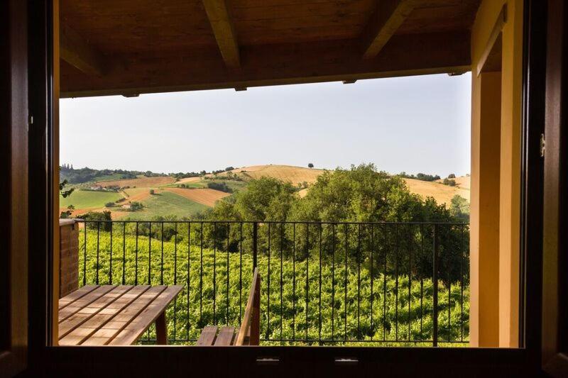 Agriturismo Vecchio Gelso Ortezzano Εξωτερικό φωτογραφία