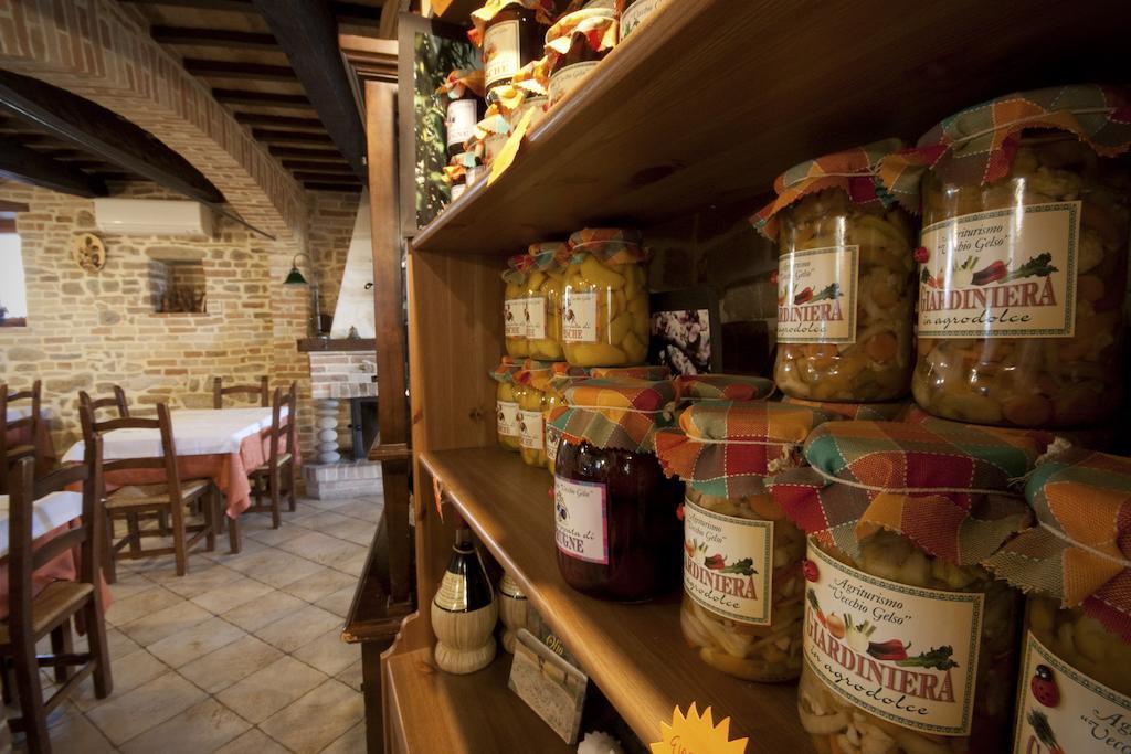 Agriturismo Vecchio Gelso Ortezzano Εξωτερικό φωτογραφία