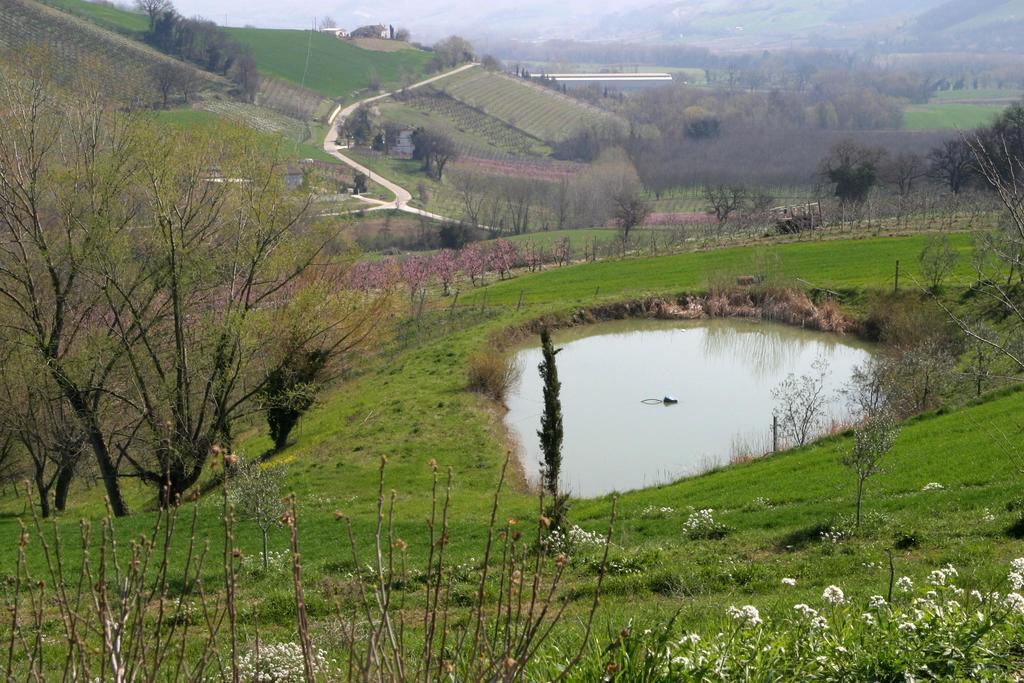 Agriturismo Vecchio Gelso Ortezzano Εξωτερικό φωτογραφία